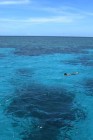 Snorkeler over Great Barrier Reef