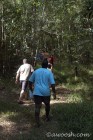 Walkabout in Queensland Forest