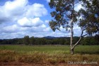Beautiful Far Northern Queensland