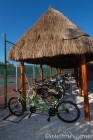 Bikes are Free at Bahia Brincipe