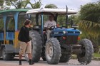 Tractor-pulled Tram at Tulum