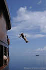 Dave G flipping out