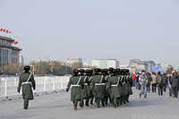Chinese Brigade on Parade