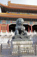 Forbidden Lion