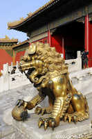 Another Forbidden Lion