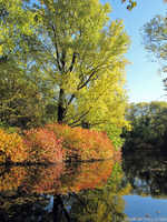Tiergarten Fall Scene, Berlin