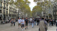 Las Ramblas, Barcelona.  This is the main tourist thoroughfare.