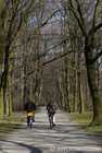 Cyclists in the Tiergarten