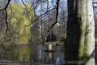 Statuary & Pond in the Tiergarten