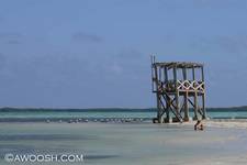 Highlight for Album: Bonaire - November 2006
