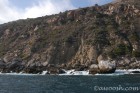 Surgey Shoreline
