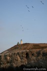 Lighthouse at 
Anacapa Island