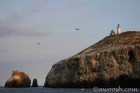 Lighthouse at
Anacapa Island