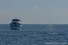 Blue Whale and Conception Dive Boat