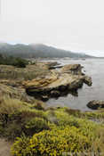 Cay Lobos