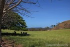 Ranchlands on climb to Monteverde