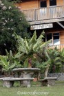 Arco de Iris Inn in Santa Elena