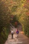 Flora walk