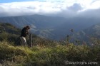 Photographer in the Wind