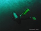 Diver and River of Rays