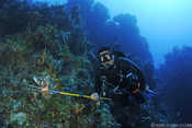 Pedro and his lionfish catch