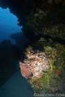 Palancar Deep