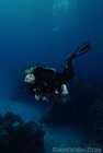 Blue XT~Sea Christi