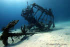 Cessna Wreck on House Reef