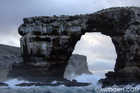 Darwin's Arch