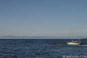 Port Hardy View North