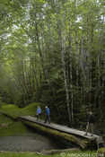 Gray Bay Hike