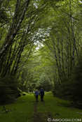 Gray Bay Hike