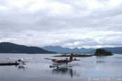 Seaplane to Rose Harbour, Moresby Island