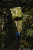 Hike at Gwaii Hynaas