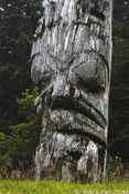 Ancient Haida Pole