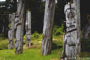 Gwaii Hyaas Poles