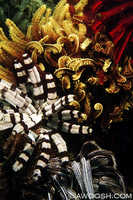 Crinoid Bouquet