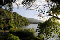 A Room with a View to Lembeh Island