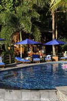 Lembeh Resort Pool Area