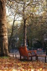 St James Park