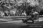 Old Man in a London Park