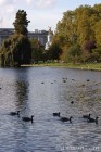 St James Park to Buckingham Palace