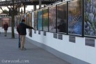 Yann Arthus-Bertrand's
Earth From The Air
Outdoor Exhibit is Southwark