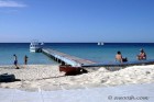 Dive Dock