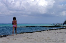 Highlight for Album: Maria La Gorda, Cuba - Topside - December 2004