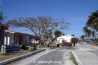 A road runs through it - main thoroughfare at Maria La Gorda