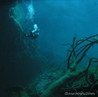 Cenote Car Wash