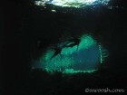 Gran Cenote