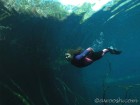 Freediver in Car Wash Cenote