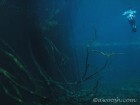 Freediver at Car Wash